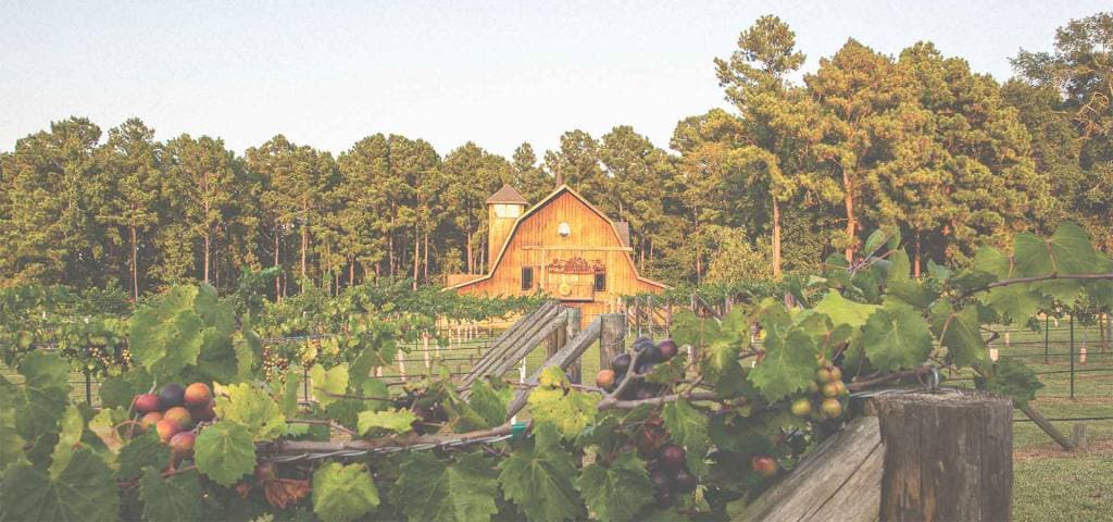 Walkers Mill Vineyard & Winery
