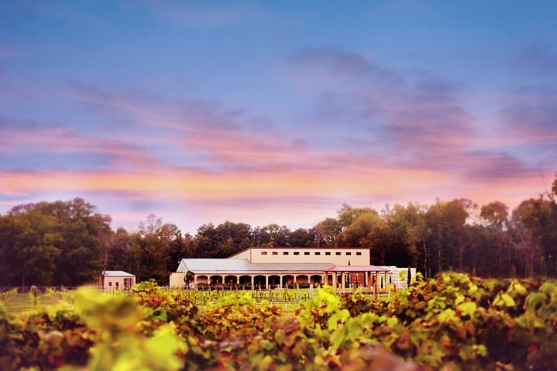 Los Pinos Ranch Vineyards