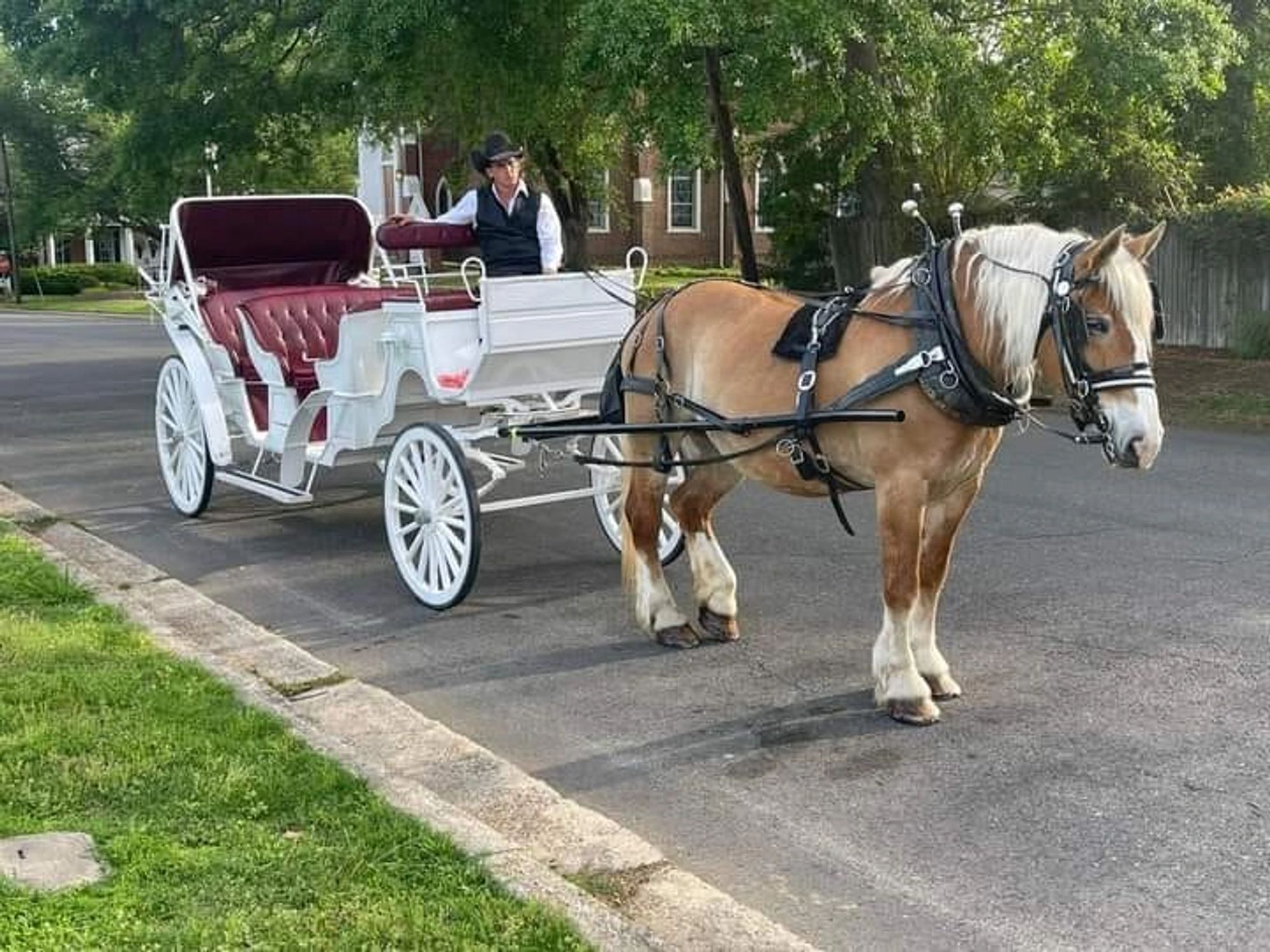 Horse-drawn carriage in historic Jefferson